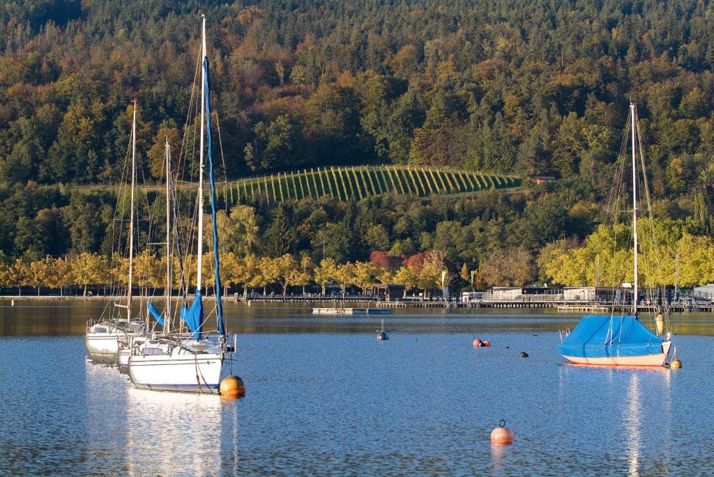 Hotel Geyer Klagenfurt am Woerthersee Kültér fotó